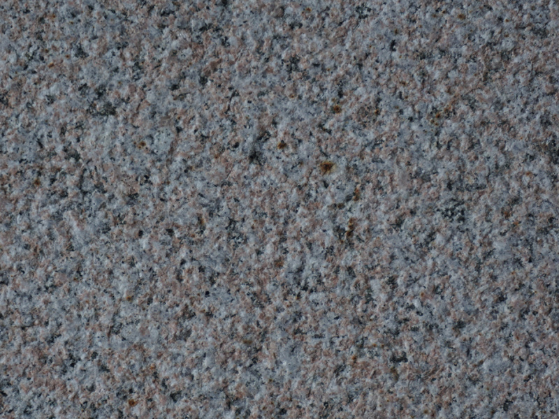 新石島紅荔枝面